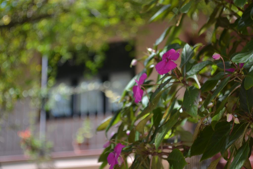 Posada De La Flor โกโลเนีย เดล ซากราเมนโต ภายนอก รูปภาพ